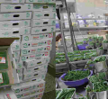 36 Kenyan Fruits and Vegetables Companies Bag Sh235 Million Orders in Virtual Italian Trade Fair