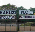 UK Company Pays 85 Kenyans Sh696 Million for Human Rights Violation 