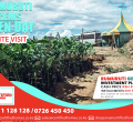 Affordable Investment Plots Available