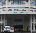 MPs Approve Bill Regulating Treatment of Kenyan Patients Abroad
