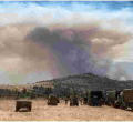 Probe Opened After 5 Elephants Killed by Fires Started by British Soldiers Training in Kenya