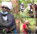 Joy as Kenyan Woman Who Disappeared 17 Years Ago Returns Home 