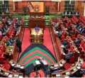 Japanese in Kenya Exempted from Paying Income Tax 