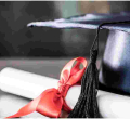 Law Requiring MPs and MCAs to Have University Degrees Challenged in Court 