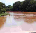 Alarm as 11 Mutilated Bodies are Retrieved from River Tana 