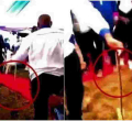 Snake Causes Commotion at Wiper Leader Kalonzo Musyoka's Meeting 