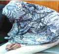 Student Who Killed 10 Girls in Dorm Fire at Moi Girls School Nairobi Imprisoned for Five Years