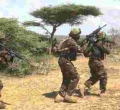 KDF Soldiers Kill Four Al-Shabaab Fighters in Boni Forest 