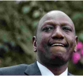 Ruto Bows to Pressure, Apologizes over 'No Cows' in DRC Remarks