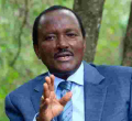 Kalonzo to Vie for Presidency if Not Named Raila's Running Mate, Senator Mutula Kilonzo Jr Says 