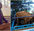 Kenyan Man Gets a Dowry Refund from Former In-Laws Following a Court Order 