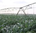 President Ruto Orders Revival of the Failed Galana Kulalu Irrigation Project