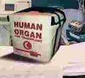Kenya to Set Up a Body Organ and Tissue Donation Bank 