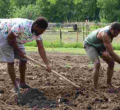 How Kenyan Erick Ateka Discovered His Farming Passion in Minnesota