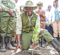 President Ruto's Environmental Leadership Lands Him on Time Magazine's Top 100 List 