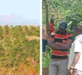 60-Year-Old Woman Brutally Murdered, Money Left Untouched
