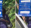 Graduate Who Begged for Jobs in Nairobi Streets Refutes Misinformation About Securing US Job