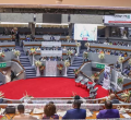Strategies for Government to Leverage Diaspora Beyond Financial Contributions