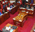 Senate Committee to Investigate Implications of Sending Nurses Abroad
