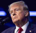 Trump Proposes 'Automatic' Green Cards for International Students Graduating in the US