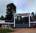 Multiple Slaps by Ministry Official Send KCSE Candidate to Hospital