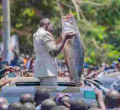 President Ruto Builds Bridges with Nyanza, Pledges Billions in Regional Investment