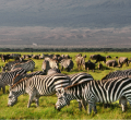Kenya Sets 7M Tourist Goal by 2027 as France and Spain Already Attract Over 90M Annually