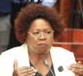 CS Wahome Reveals Property Ownership Structure for Affordable Housing