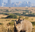 Kenya Tourism Board Awards Eight Photographers in National Contest to Showcase Hidden Attractions