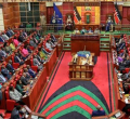 Kenyan Senators Urge Government to Address Homelessness Before Closing Children's Homes