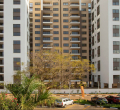 Developers Announce Plans for Multi-Purpose Complex in Westlands