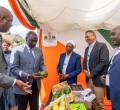 Murang’a Tycoons Finally Channel Wealth Home After Years of Silence