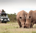 KWS Seeks to Raise National Park Fees by 50%