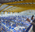 Ruto: Special Economic Zones Will Boost Employment