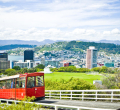 New Zealand to Launch Two New Residency Pathways for Skilled Migrants