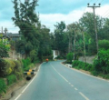 Why Kerarapon Is Emerging as a Cheaper Alternative to Karen