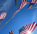 US Authorities Target OPT Employers Over Suspected Visa Fraud