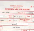 Murkomen: Plan Underway to Remove Birth Certificate Application Fees