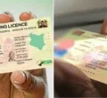How the Redesigned IDP Helps Kenyans Drive Abroad Without Legal Hassles