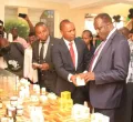 Kenya Launches Africa’s First Bee Venom Marketplace for Farmers