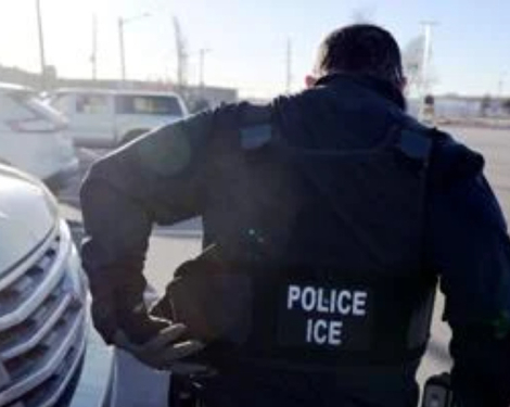ICE Fines Colorado Companies $8M for Hiring Unauthorised Workers