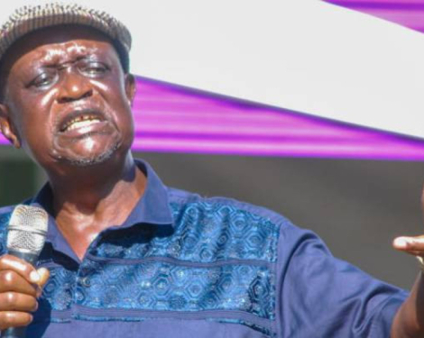Senator Oburu Defends Ruto-Raila Alliance, Criticises ODM Dissenters
