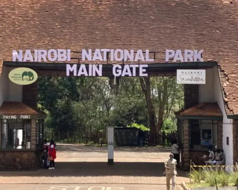 Kenya Announces New Measures to Improve Access to Nairobi National Park