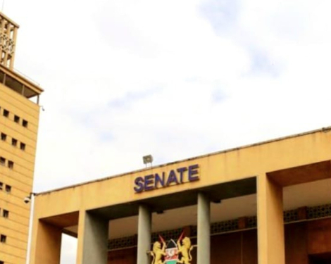 Blow to Governors as Senate Demands End to Self-Promotion on Public Infrastructure