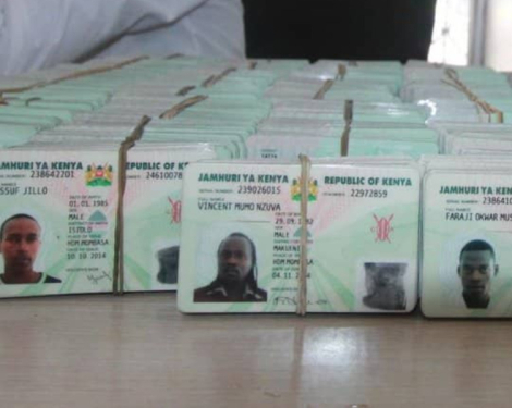 Kenyan High Court Upholds Citizenship Rights for Children of Mixed-Status Parents