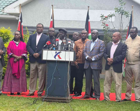 Opposition Urges Kenyans to Boycott Pro-Government Firms