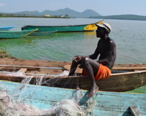 The Hidden Threat That Could Wipe Tilapia Off East African Menus