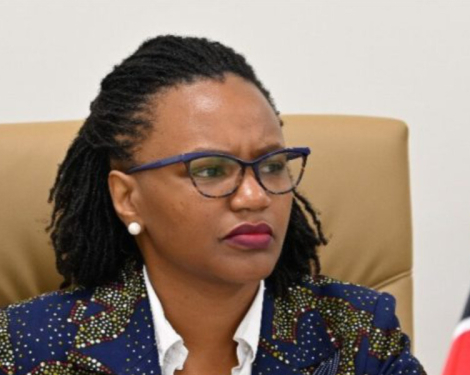 PS Njogu Praises Diaspora for Driving Kenya’s Development and Global Influence