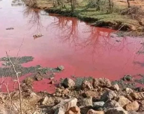 Why Lake Bogoria’s Waters Suddenly Turned Red