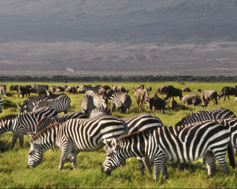 List of Proposed New Prices for Nairobi, Amboseli, Tsavo & All Other Parks